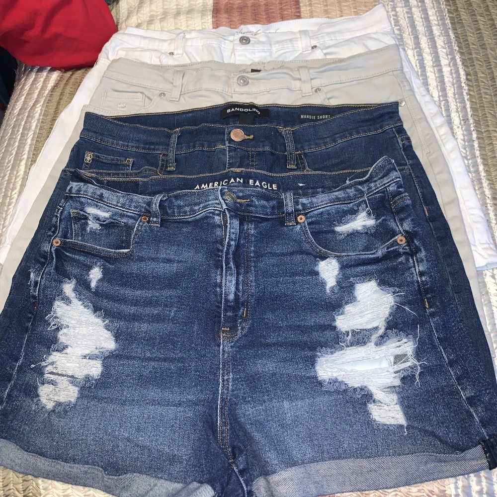 Lot Of 4 Woman's Shorts Size 16  Various Brands And Colors